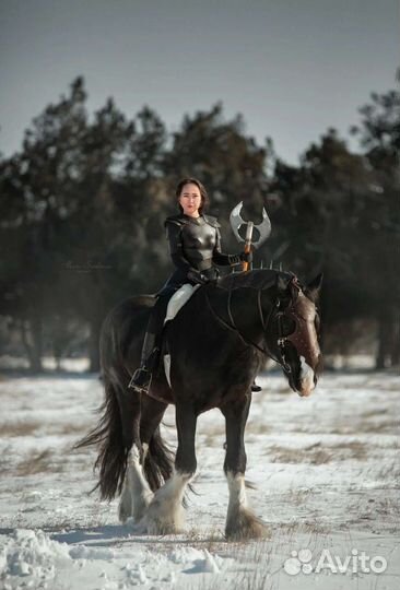 Элитные.Шайр.Ахалтек.Андалуз.Араб ворон.английская