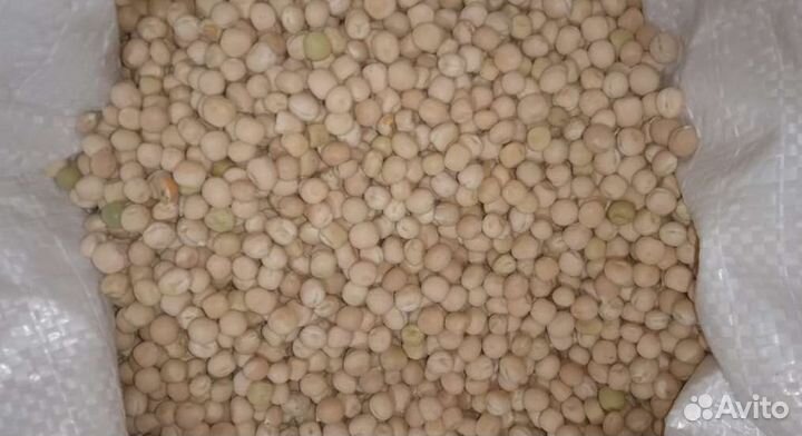 Горох цельный оптом