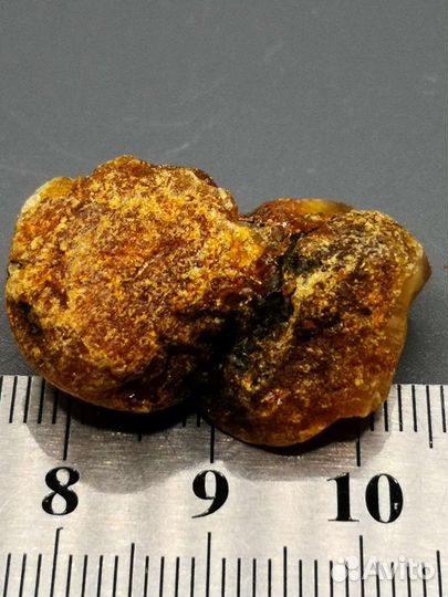 Янтарь с куршской косы, непрозрачный