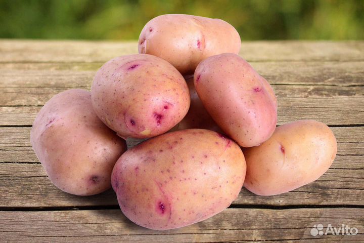 Продам картофель