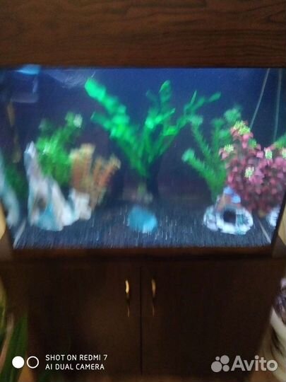 Аквариум