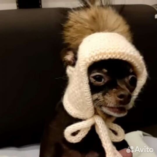 Шапка ушанка для чихуахуа, йорков, терьеров