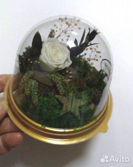 Цветы. Цветочная композиция. Подарок