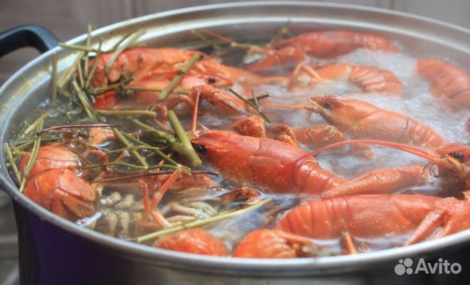 Живые и вареные раки