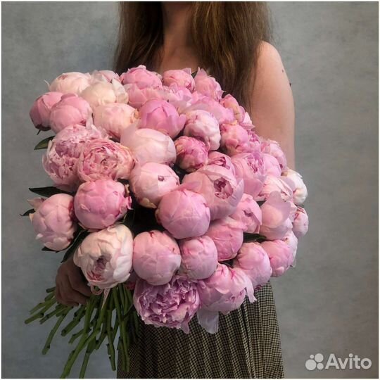 Пионы Нидерланды