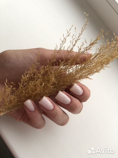 Маникюр гель-лак Бесплатно Анкудиновка