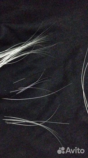 Настоящие усы кота