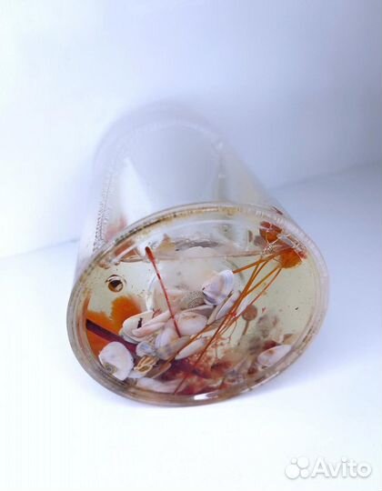 Стакан декоративный для щеток зубных с ракушками