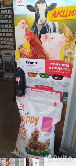 Домашние животные