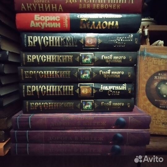 Книги Брусникина