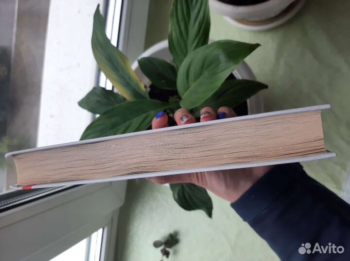 Сладкая жизнь книга