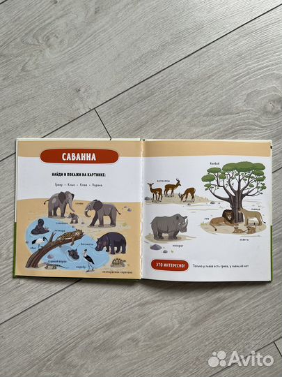 Детская книга clever, Животные