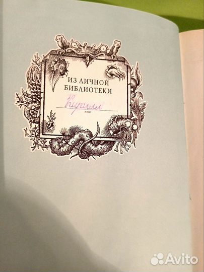 Воздушные пираты Громобой Пол Стюарт