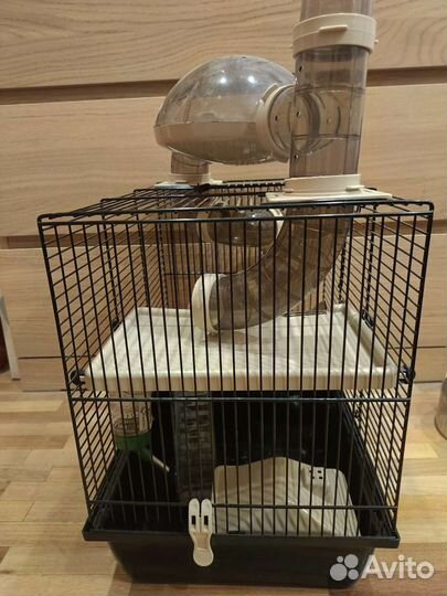 Клетка для грызунов большая