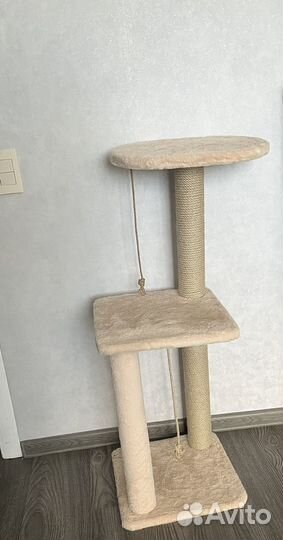 Когтеточка