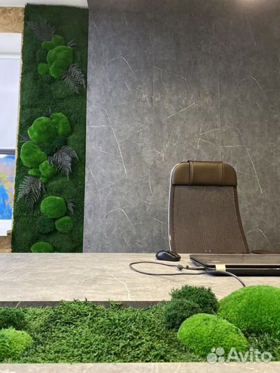 Стабилизированный Мох.Озеленение. Фитостена