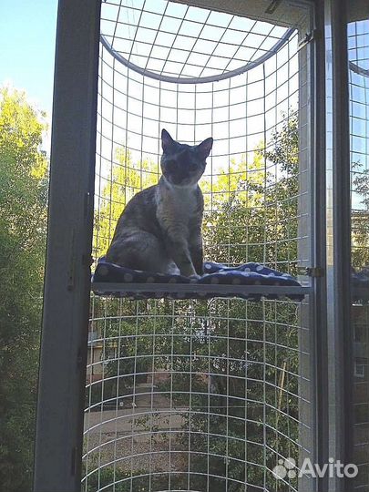 Кошачий балкончик, балкон для кошек, антикошка
