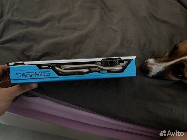 Видеокарта amd rx590 sapphire