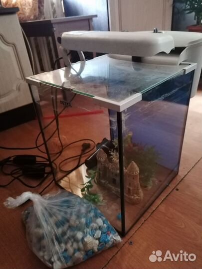 Аквариум