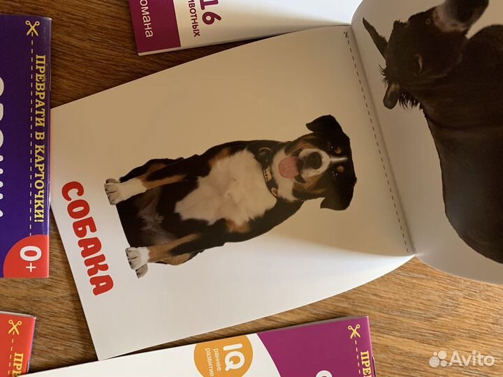 Набор развивающих карточек для детей