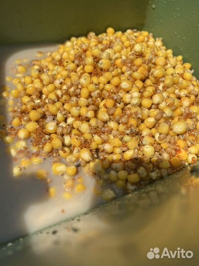 Кукуруза ферментированная