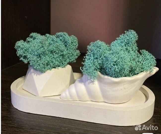 Кашпо со мхом, кашпо