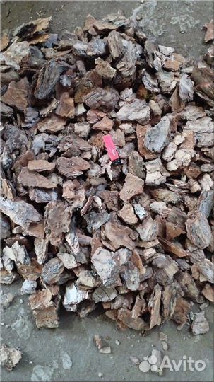 Кора сосновая