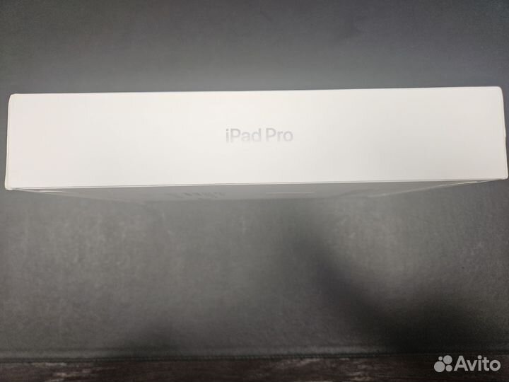 iPad pro 11 m4 2TB 2024