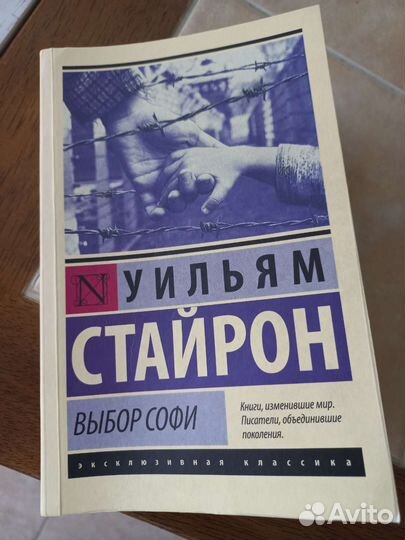 Выбор Софи. Книжный вор