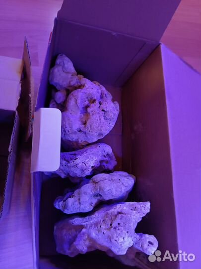 Фильтр стерилизатор аквариум