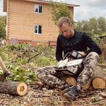 Спилить дерево, спил деревьев, расчистка участка