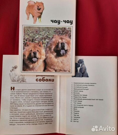 Открытки собаки набор