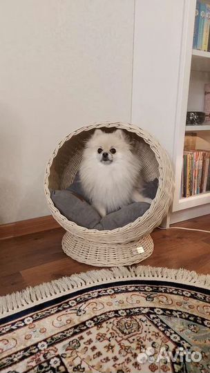 Домик для собак и кошек / Вольер для собак / Будка