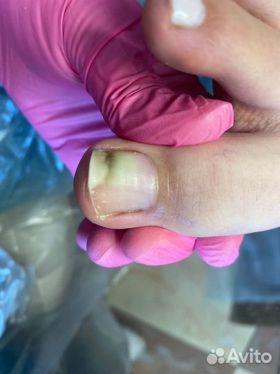 Требуются модели бесплатно