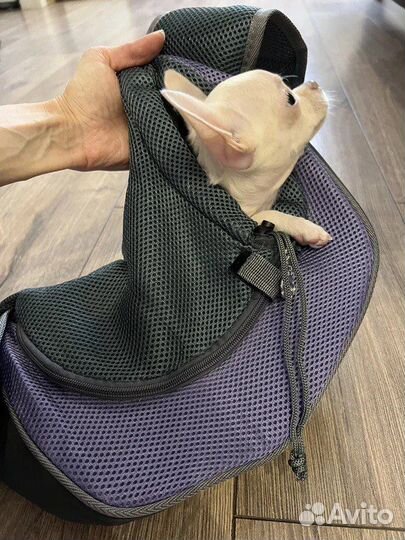 Сумка- переноска для животных(слинг)