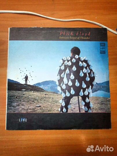 Pink Floyd Delicate Sound of Thunder, 