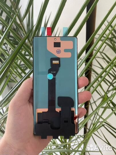 Дисплей Honor 70 / LED