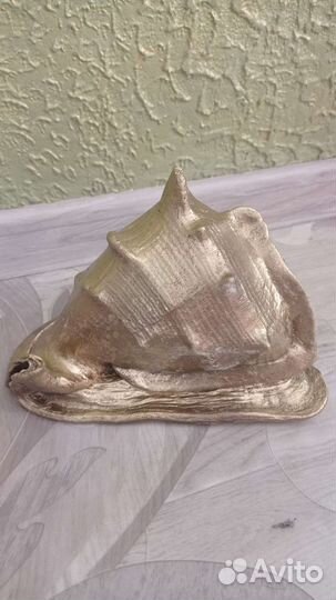 Ракушка большая натуральная