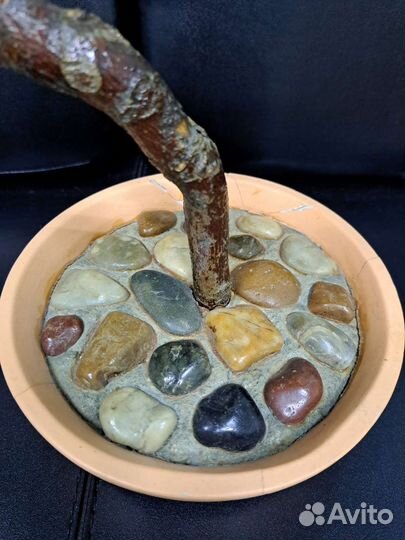 Бонсай декоративный искусственный, ручная работа