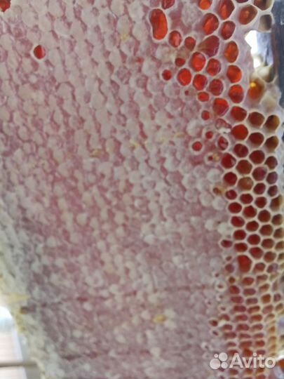 Заказ для да