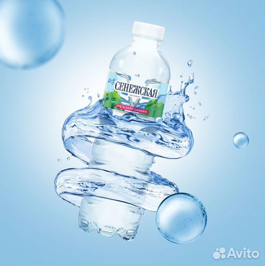 Инспектор-контролер