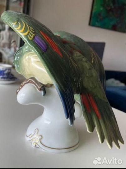 Rosenthal Попугай Бавария