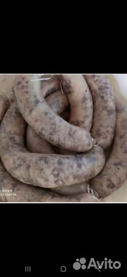 Продаются домашние йоьхьш