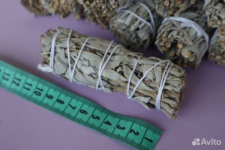 Шалфей Белый от 20шт опт для Озон