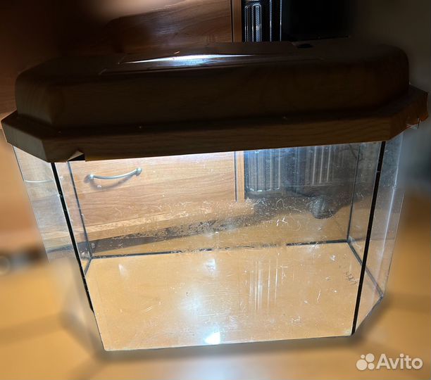 Аквариум