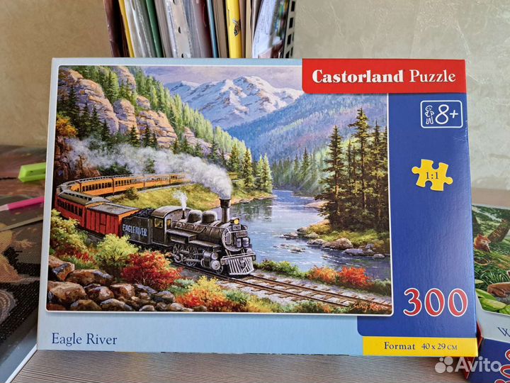 Пазлы Castorland 260 и 300