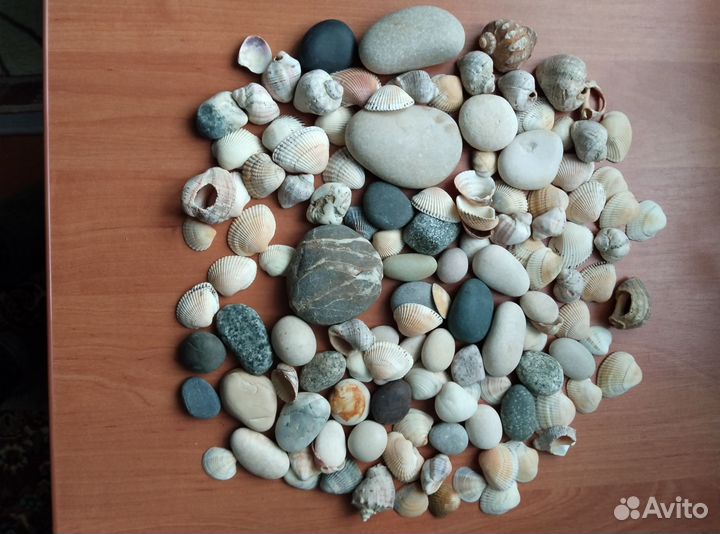 Морские камни и ракушки