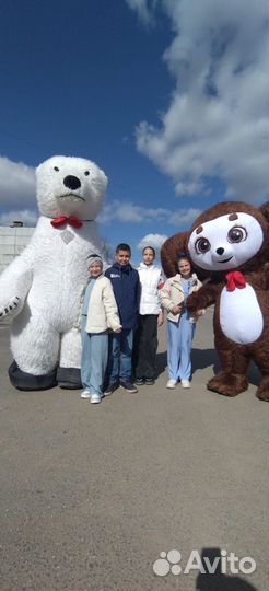 Поздравление от Белого Медведя, Белый Мишка