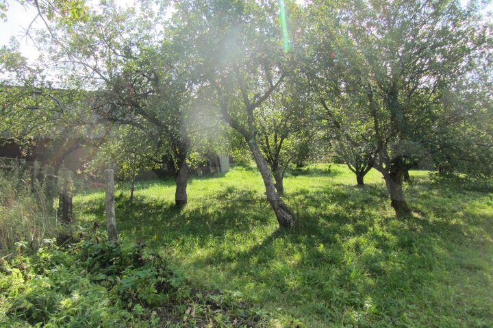 Дом 52 м² на участке 42 сот.