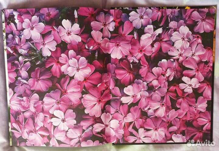 Е. Мамонтова. Год вдохновения